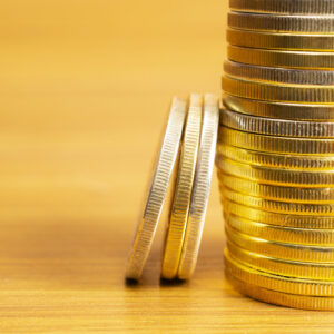 Money Manifesting Yogic Technique